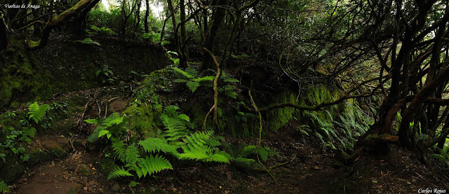Conciertos y desconciertos: Paisajes, desiertos