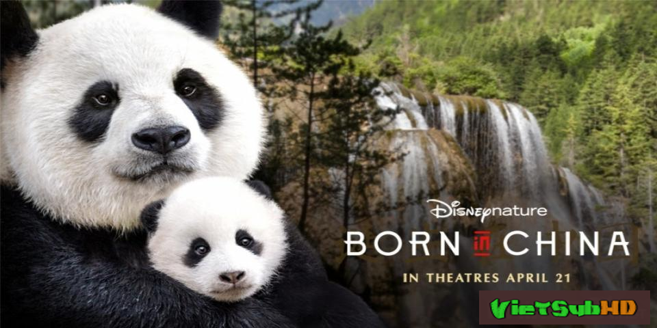 Phim Sinh ra ở Trung Hoa VietSub HD | Born in China 2016