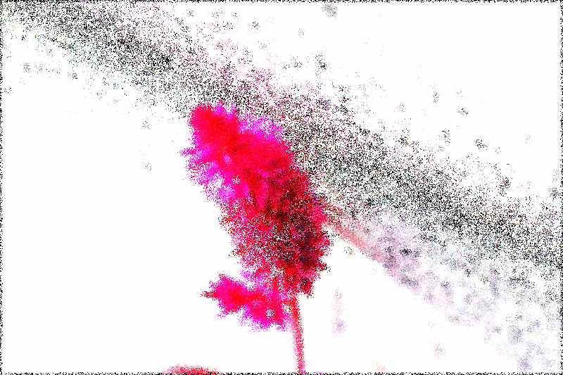 순천 조계산 선암사 순천 조계산 선암사