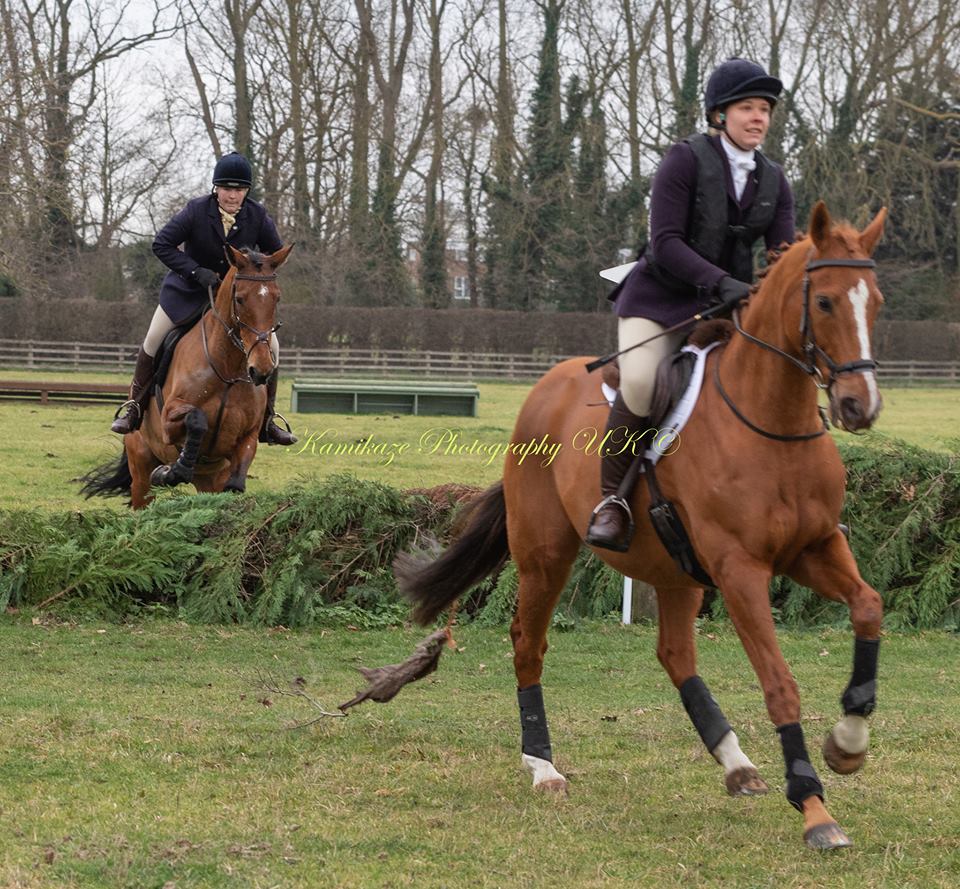 The Adventures of an Amateur Equestrian Scent laying for the Cambridge