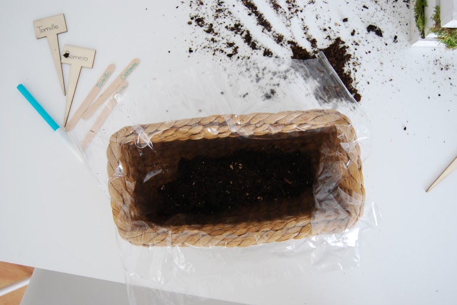 Pequeño huerto de aromáticas para hacer con niños y regalar