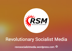 Google+ RSM