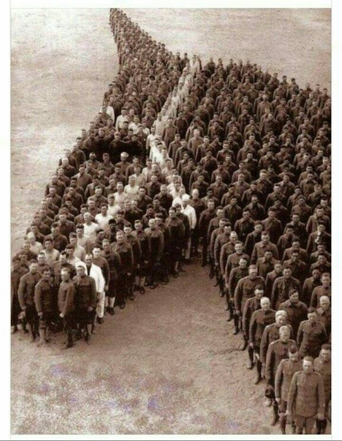 This Is Not A Joke. Please Share. Photo taken in 1918 to honor the horses that served and died in WWl