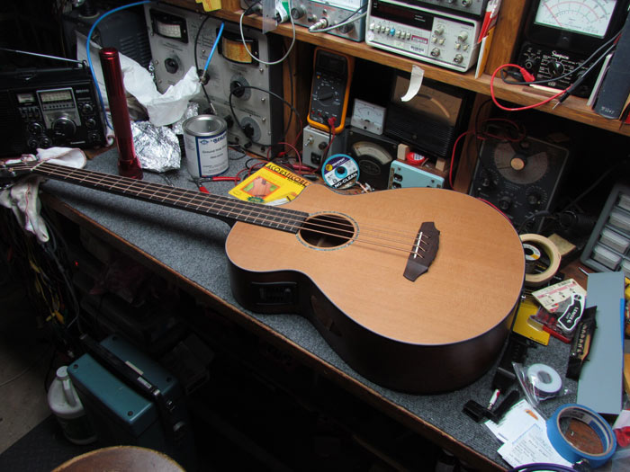 Breedlove BJ350 Acoustic Bass Setup Crawls Backward (When Alarmed)