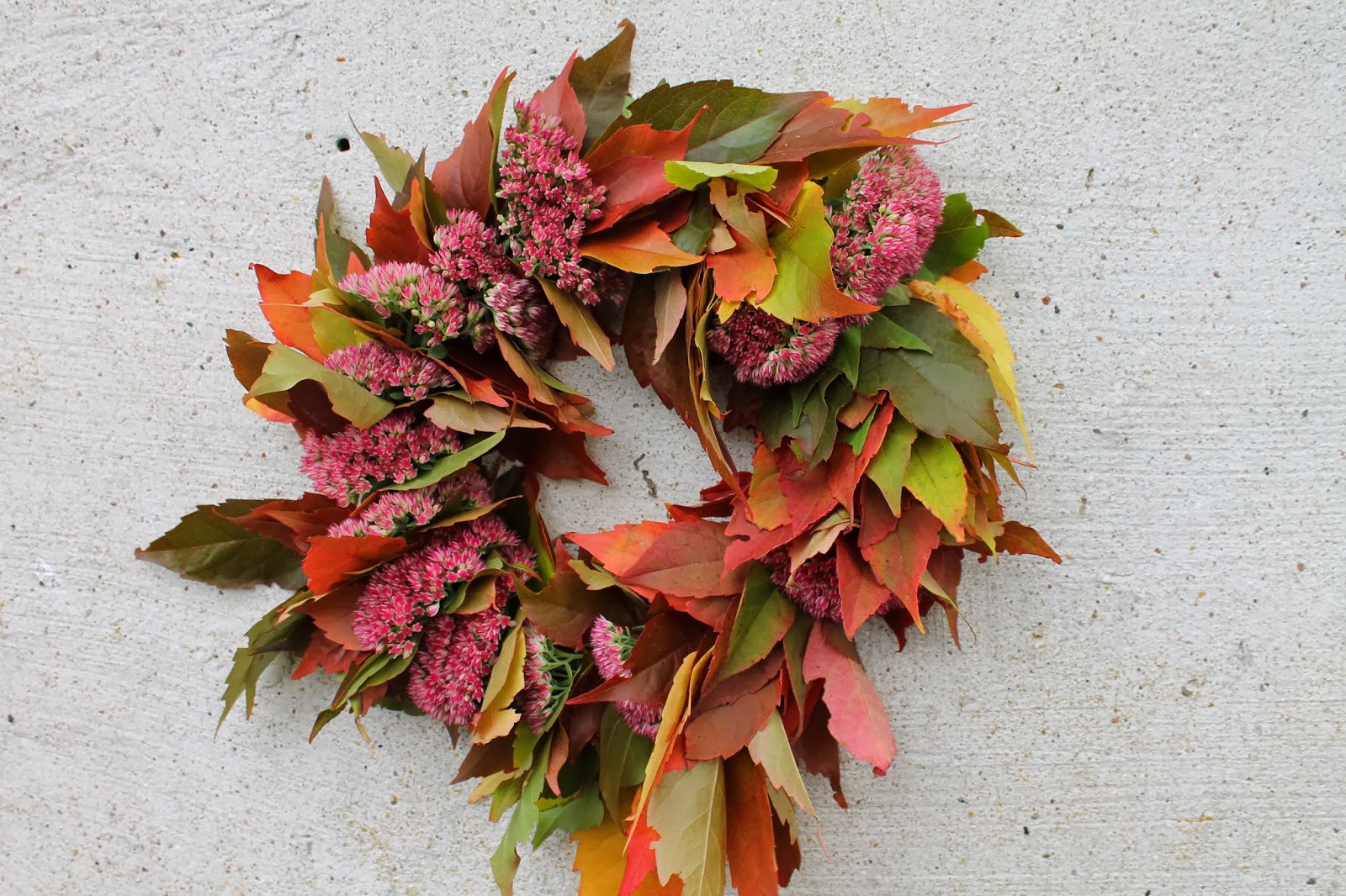 Dortes syslerier: Efterårsplanter