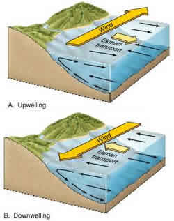 Upwellings and downwellings