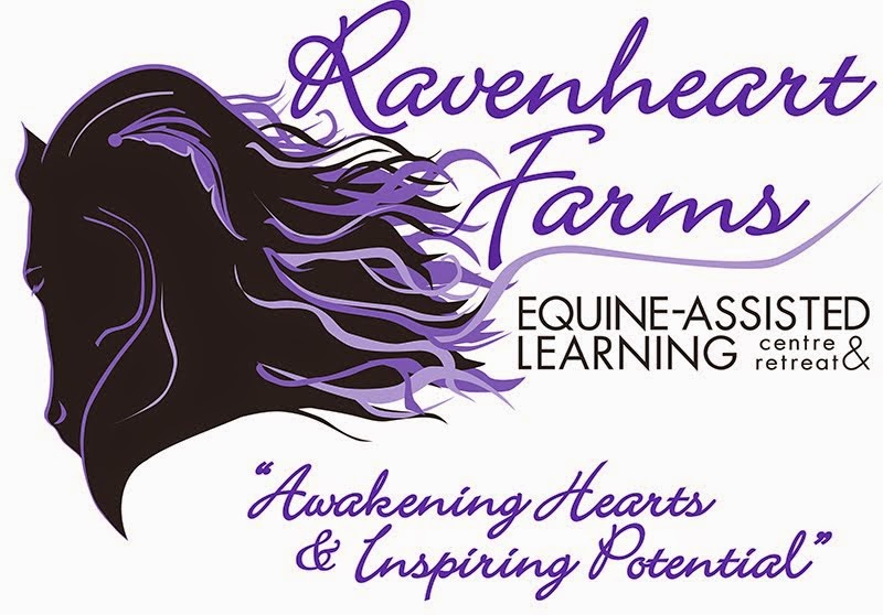 Welcome to the Ravenheart Blog!