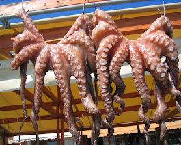 Octopus drying in the sun