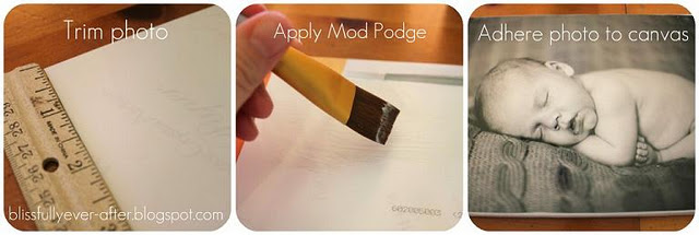 decoro sin decoro: 16-ene-2012