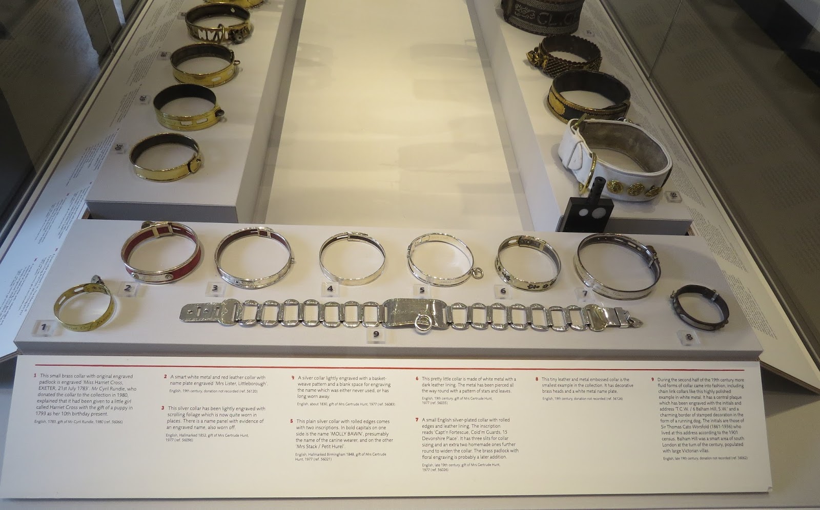 Olive And Pru A History of Dog Collars