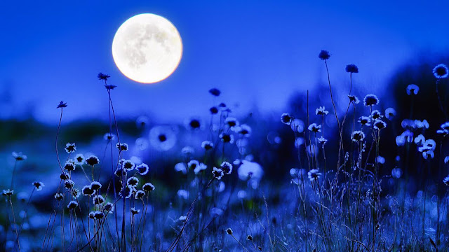 Sebentar Lagi Berpisah, Ternyata Rasulullah Membaca Doa Ini Ketika Akhir Bulan Ramadhan Sebentar Lagi Berpisah, Ternyata Rasulullah Membaca Doa Ini Ketika Akhir Bulan Ramadhan