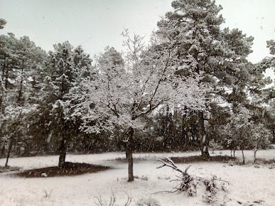 Nevada Serrania Cuenca. Autor, Miguel Alejandro Castillo Moya