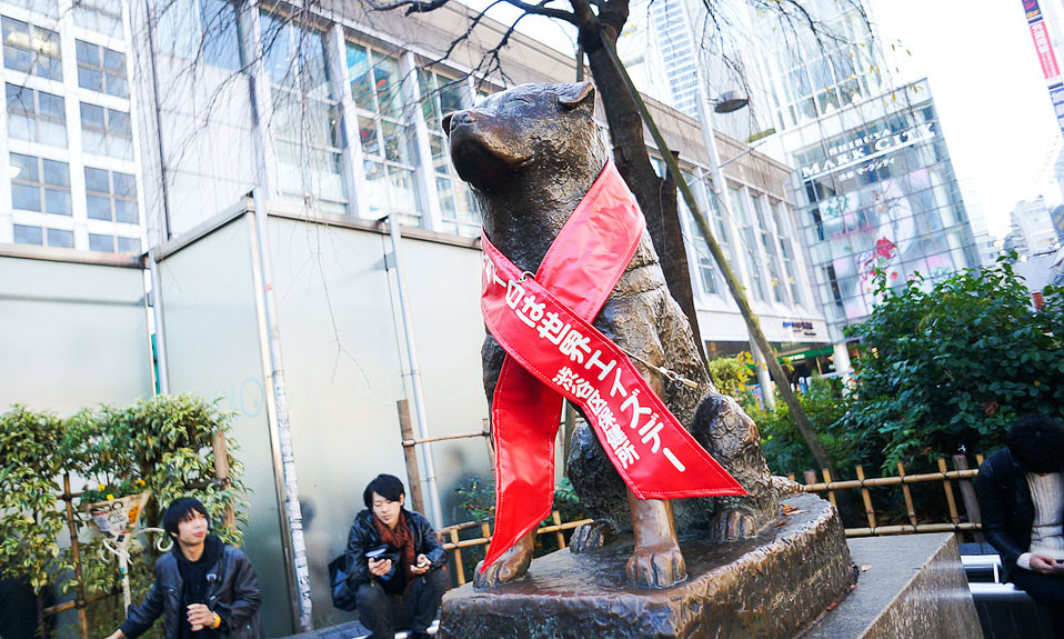 Токио собака Токио собака