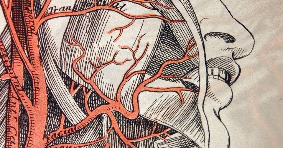 From the Mind of Martin Martin Rewrites Anatomy of the State, Part 2