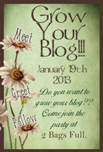 grow your blog 2013