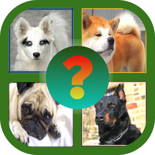 игра угадай собаку. отгадай породы собак. угадай собаку. угадай породу. игра угадай породу собаки.