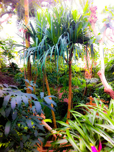 Bolz Conservatory at Olbrich Gardens Madison WI Bolz Conservatory at Olbrich Gardens Madison WI