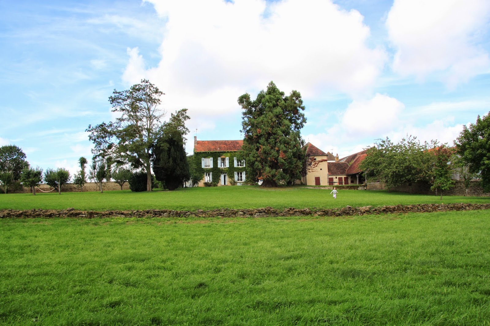 My Big Backyard Backyard Ideas