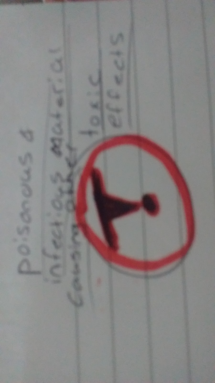 Ko-Ko's school work: science - hazard symbols