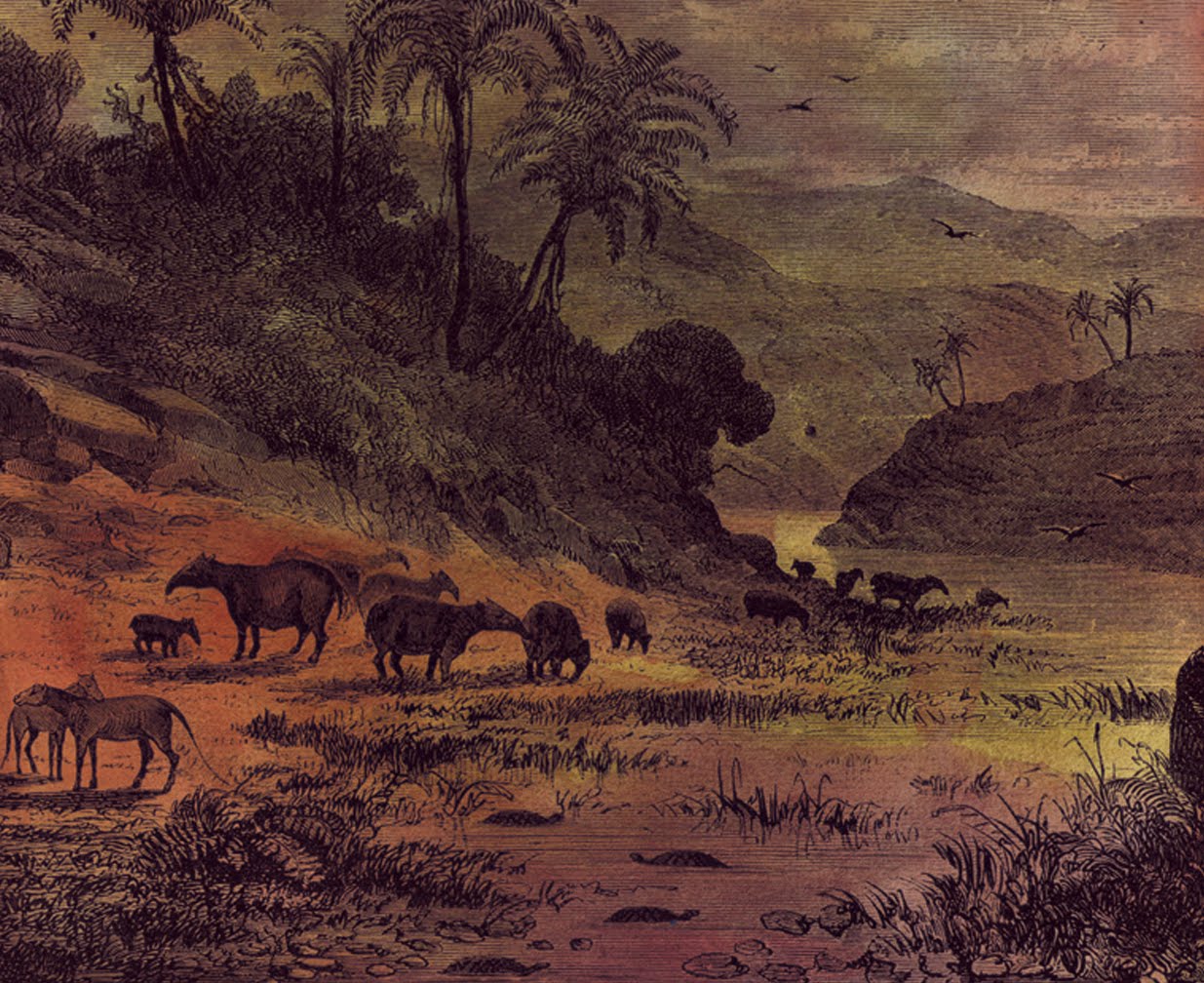 defensa india antigua