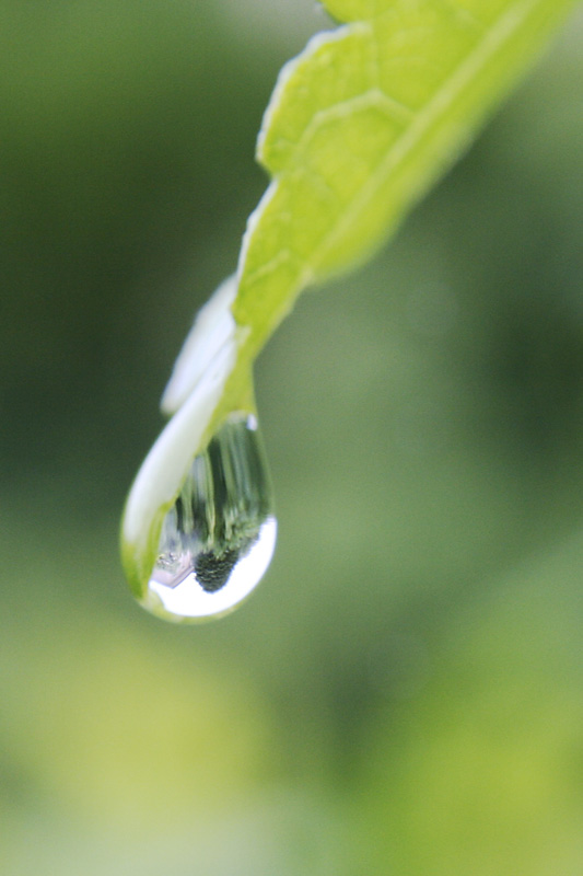 Paysage et goutte d'eau