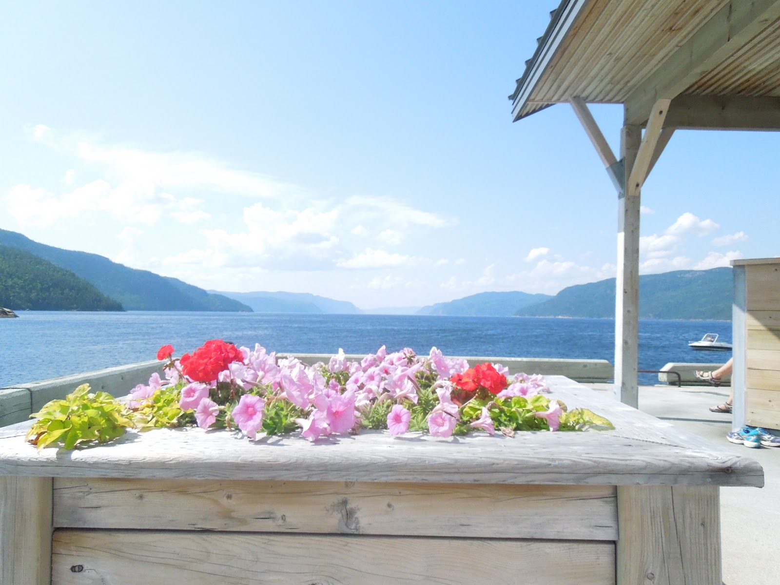 En cavale au VillageVacances PetitSaguenay Jour 6 La visite en visite