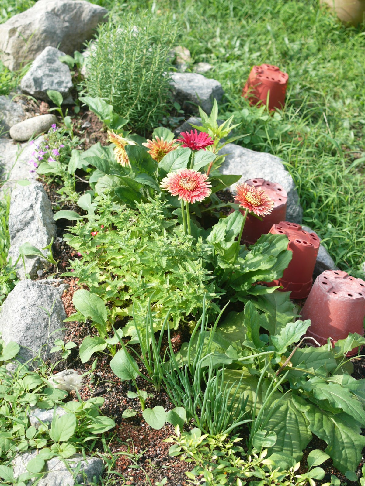 Gambar Rumah Terkini - HANYEAKUPUNYER