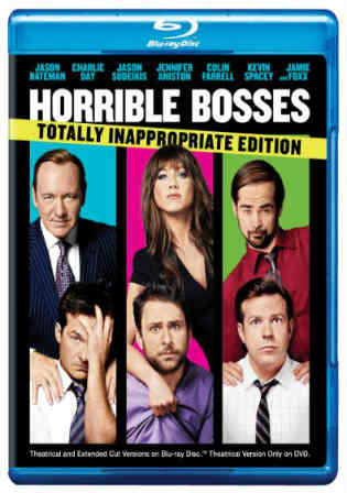Horrible Bosses 2011 BRRip 300MB Hindi Dubbed EXTENDED 480p