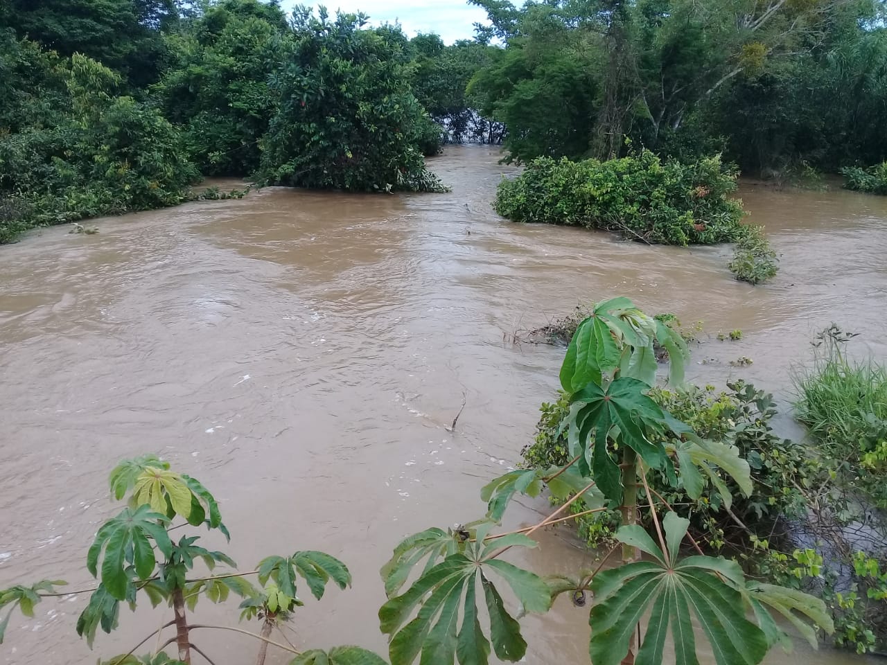 ENCHENTE%2BCASTANHEIRAS%2B16-02-2019%2B%252827%2529