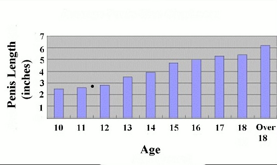 Reflections Of A Sissy Penis Size Charts-8056