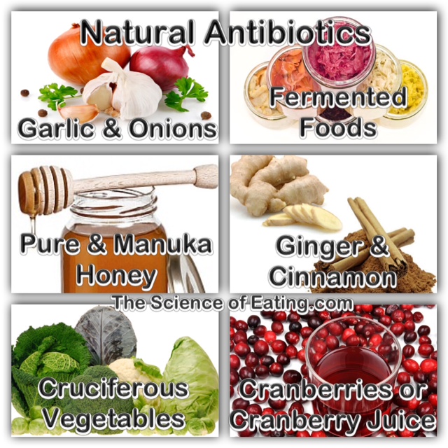 Antibiotics Healthy& Wealthy