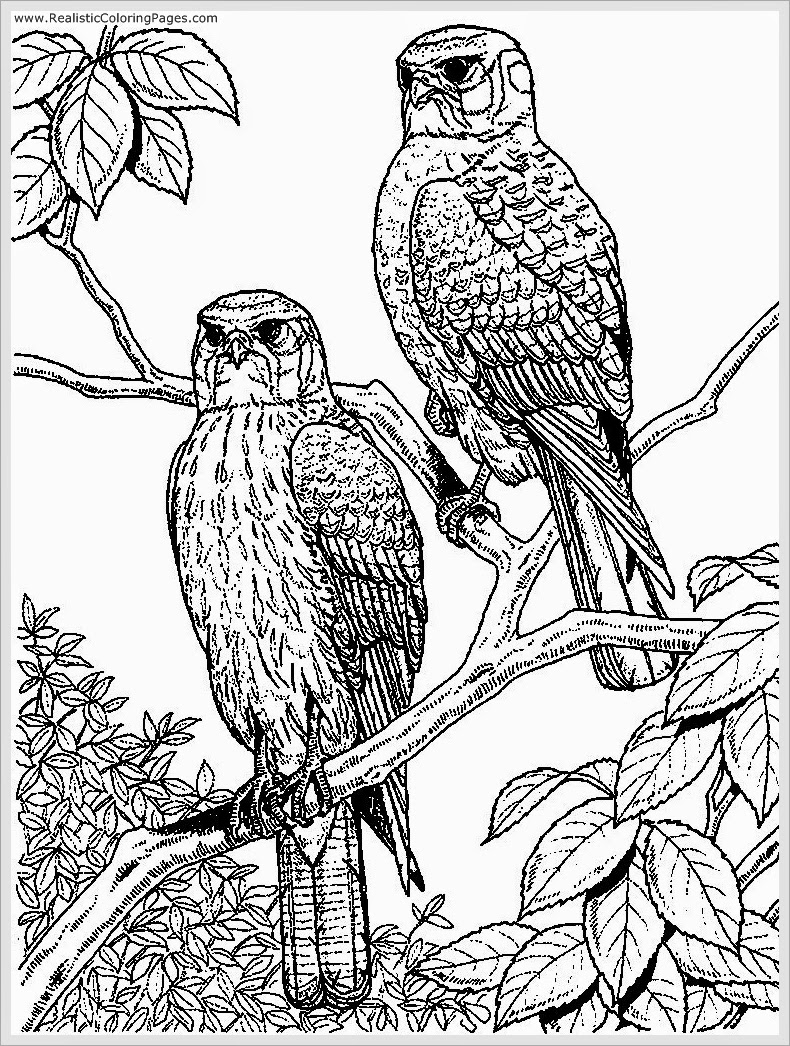 eagle holding a fish coloring pages - photo #29