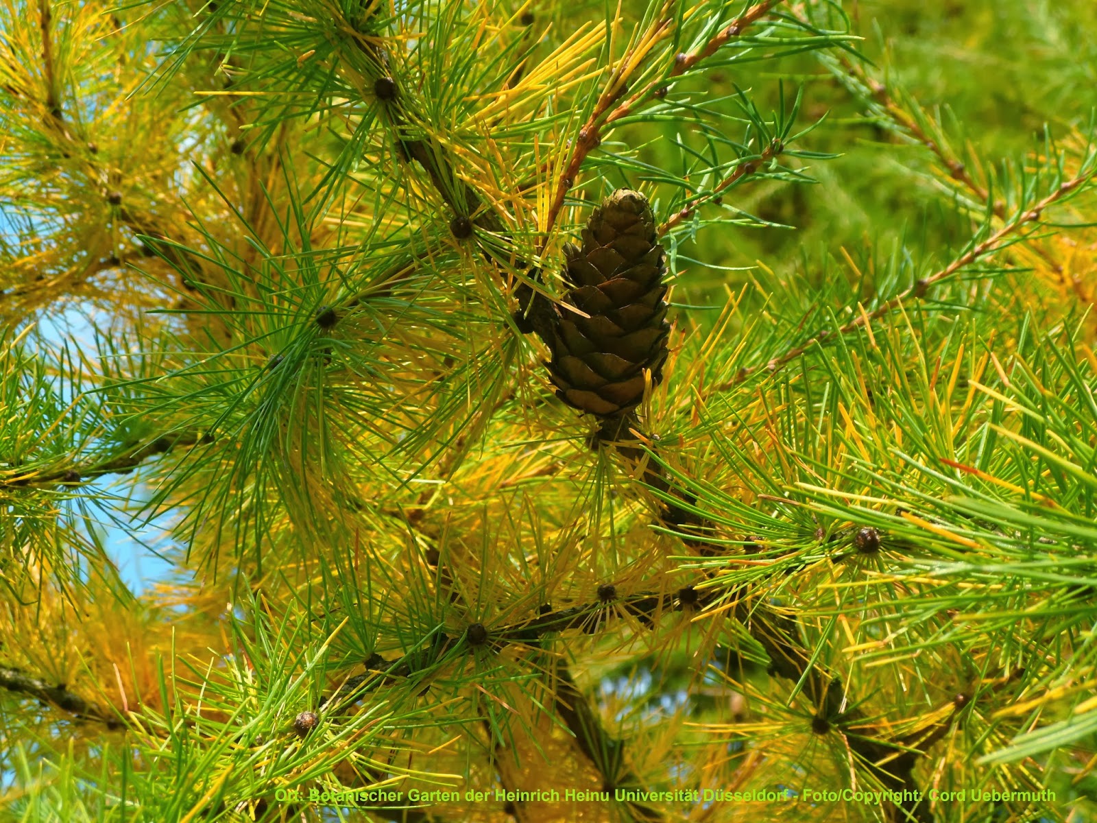 Indextrader24 Com November 2013