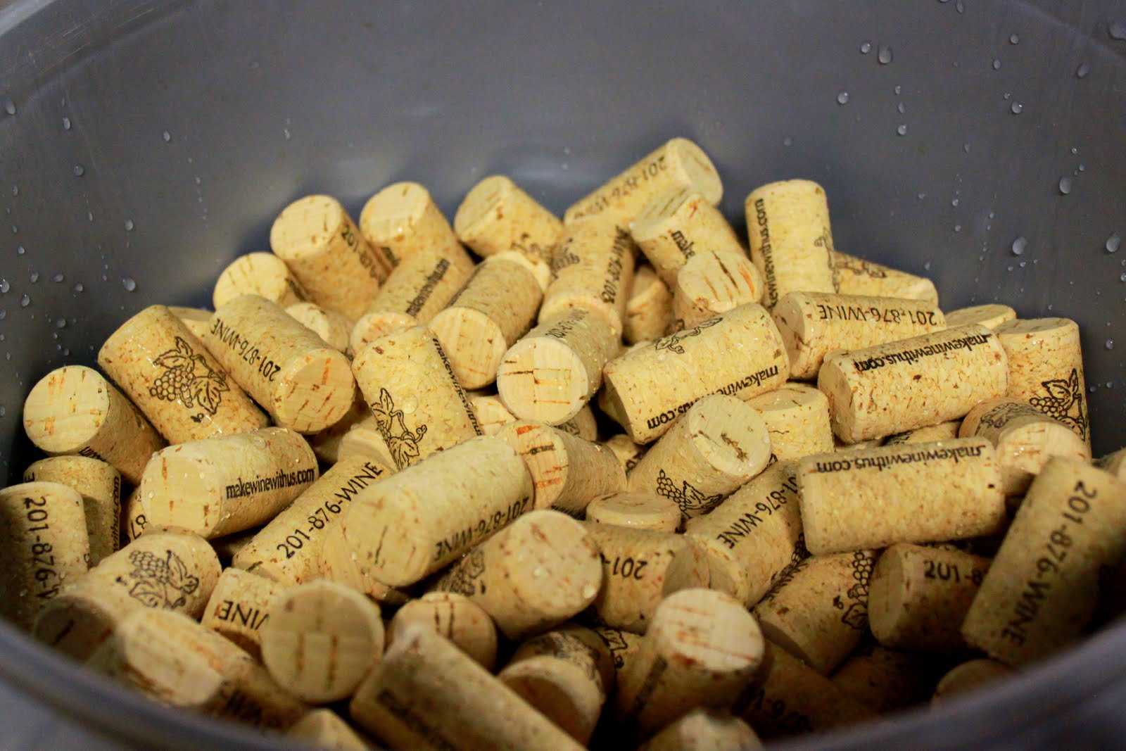 Here Comes The Fun make wine with us; new jersey wine making school