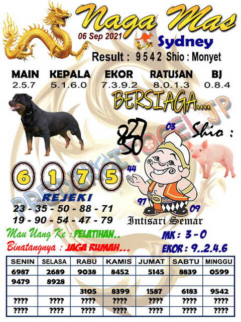 Master Sgp Kamis Pancasona