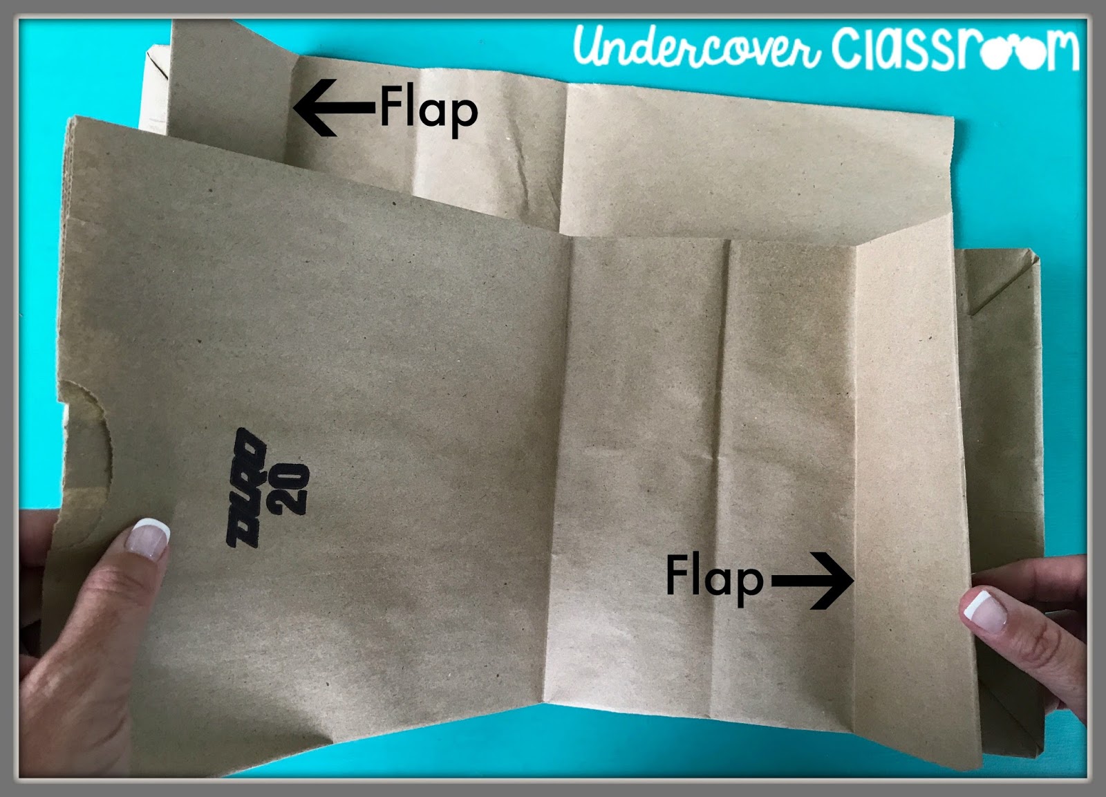 Undercover Classroom Paper Bag Books