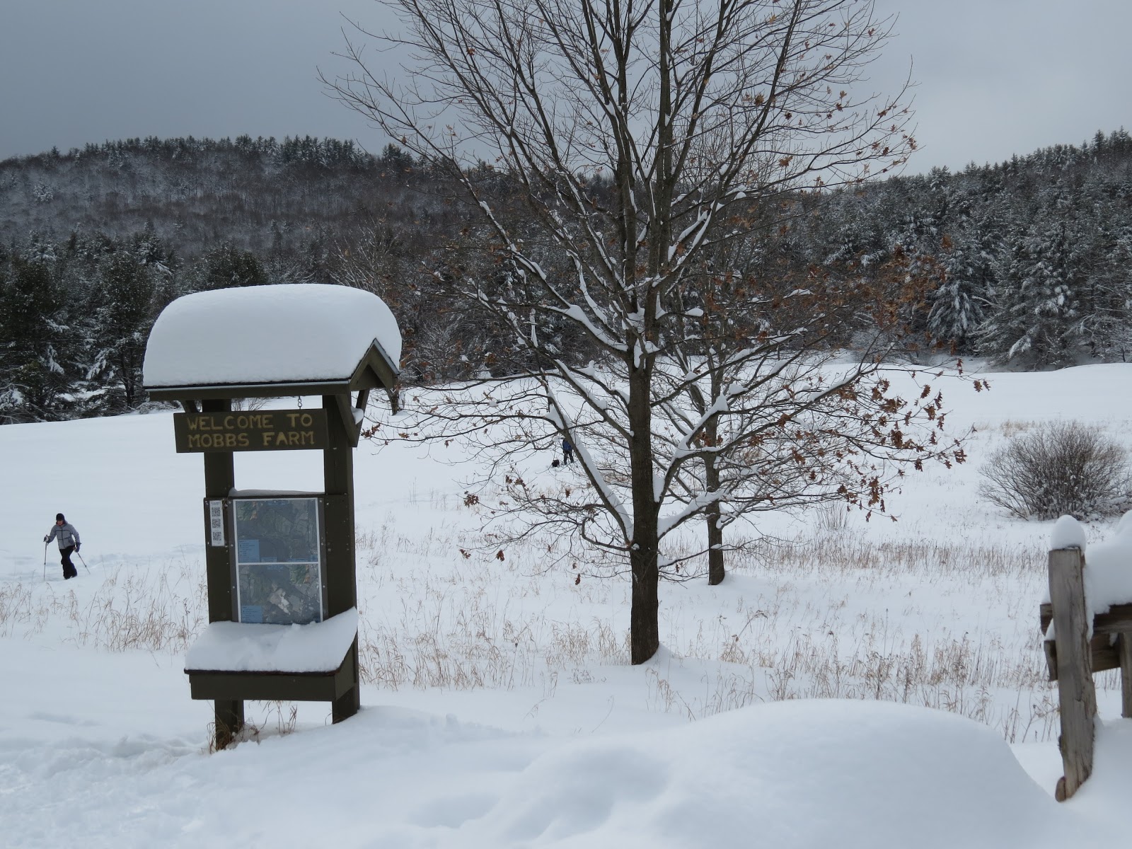 Jericho, Vermont Photos Mobbs Farm Trails Jericho, VT Snowshoeing