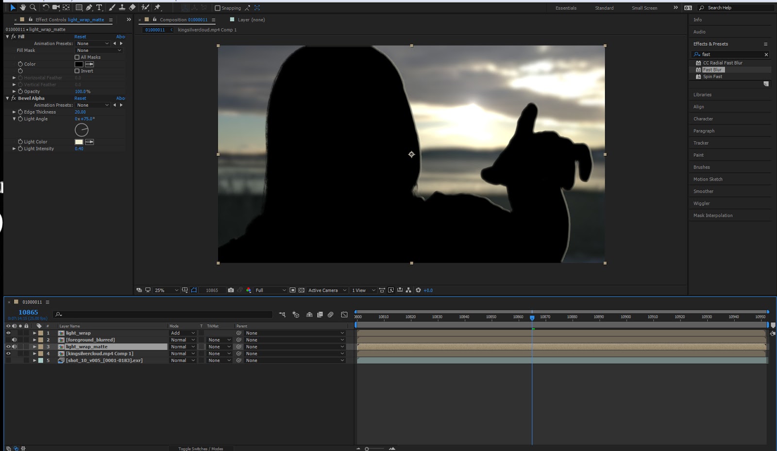 animatedcreativeandreamcswan