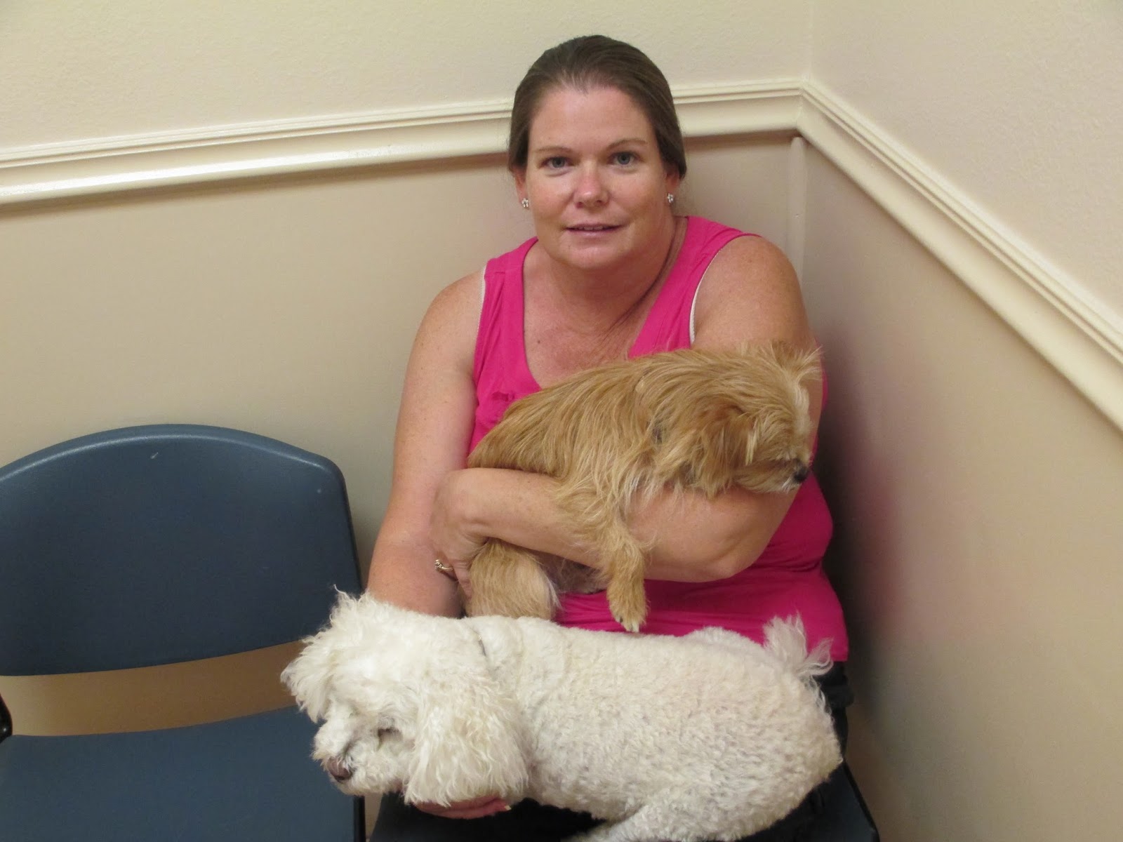 GROFF STUFF Trinity Pet Hospital