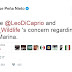 Peña responde a DiCaprio sobre salvación de la vaquita marina