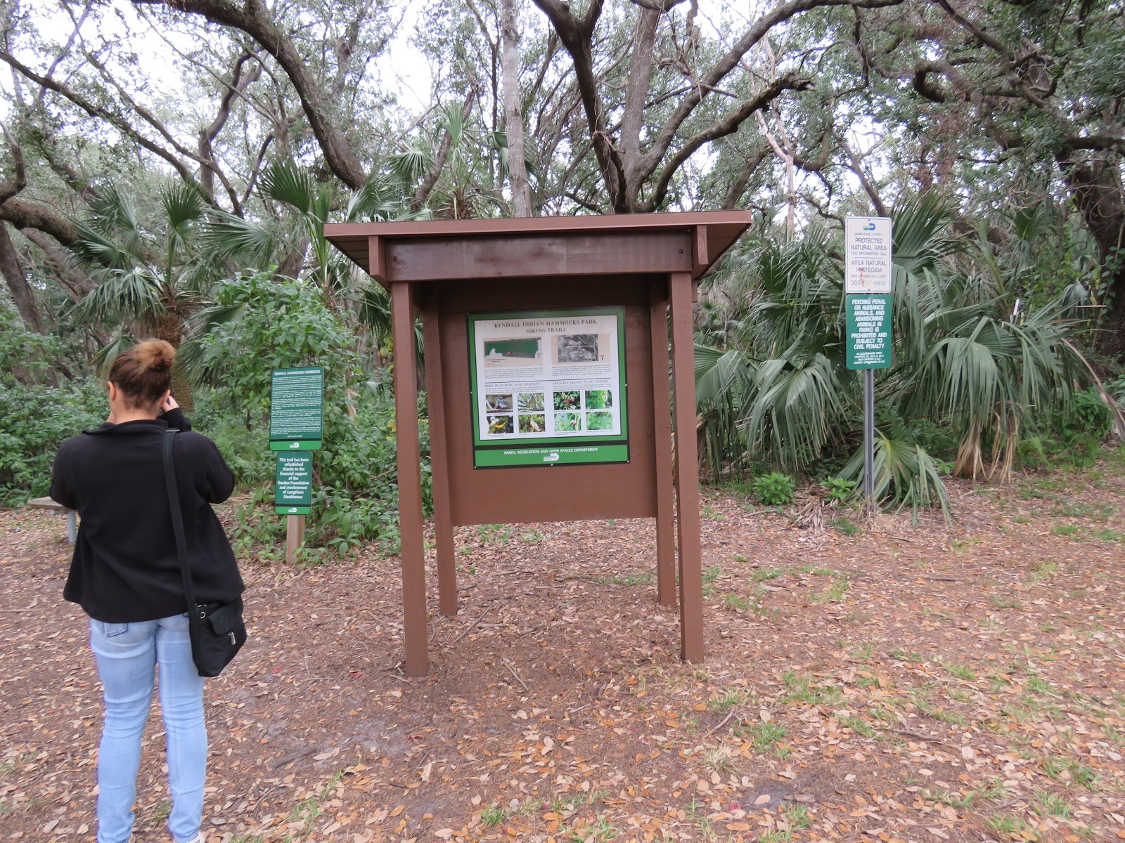 Bonao Internacional GALERIA KENDALL INDIAN HAMMOCKS PARK PRESERVE
