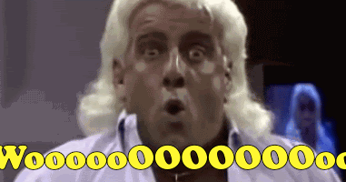 ric flair holiday sweater