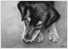 08-Dog-Labrador-Retriever-Zindy-Nielsen-Fantasy-Animals-Meet-Realistic-Ones-www-designstack-co