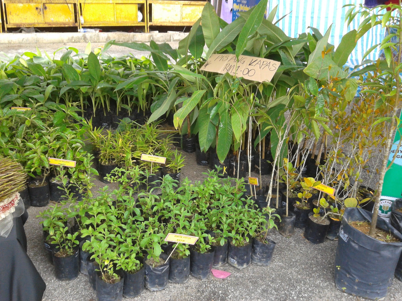 JOHOR PLANT TECH SDN BHD AKTIVITI SYARIKAT