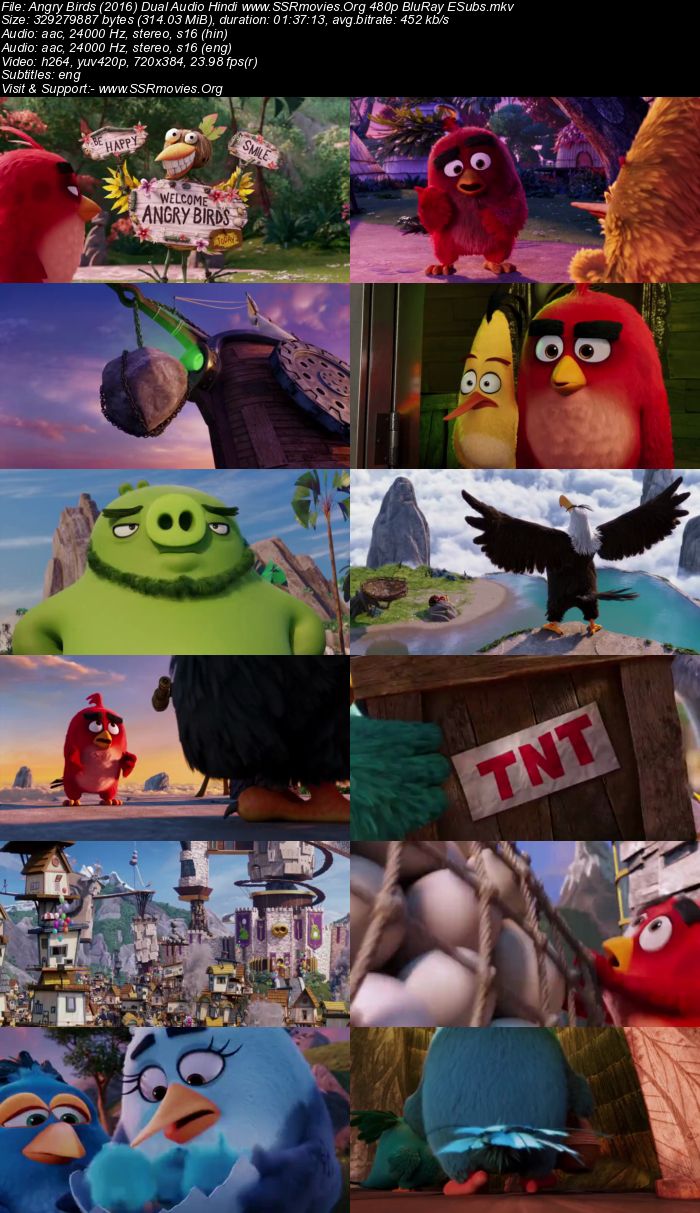 Angry Birds (2016) Dual Audio Hindi 480p BluRay 300MB