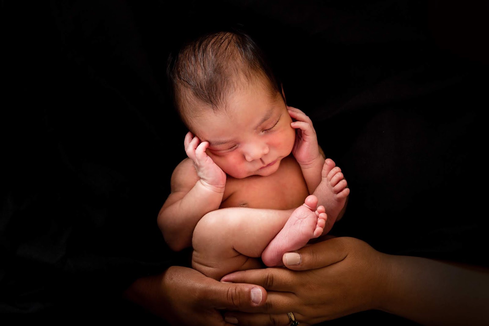 studio newborn photography in fremont ca family of 3
