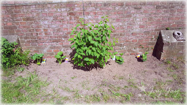 Eingepflanzt Schminkspiegel Beleuchtet