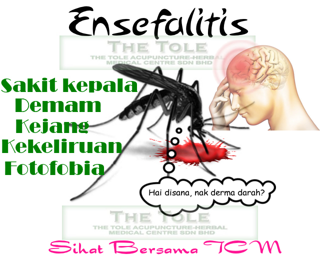 Kisah Pilu Bicah Alami `Ensafalitis` dan Koma, Kenali Penyakit yang Sebabkan Kematian Pada Anak ini Kisah Pilu Bicah Alami `Ensafalitis` dan Koma, Kenali Penyakit yang Sebabkan Kematian Pada Anak ini