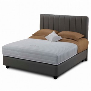 Bed spring poker