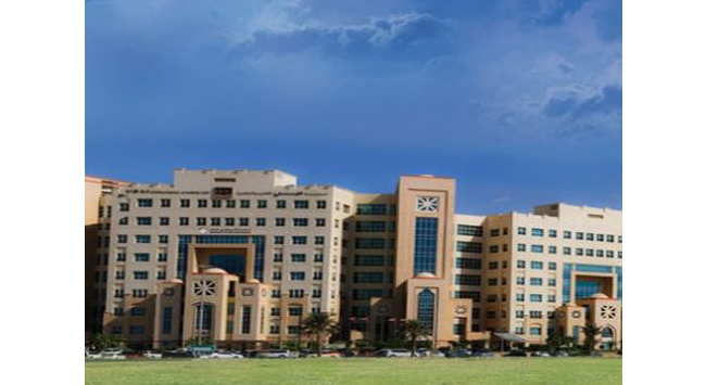 American University in the Emirates (AUE)